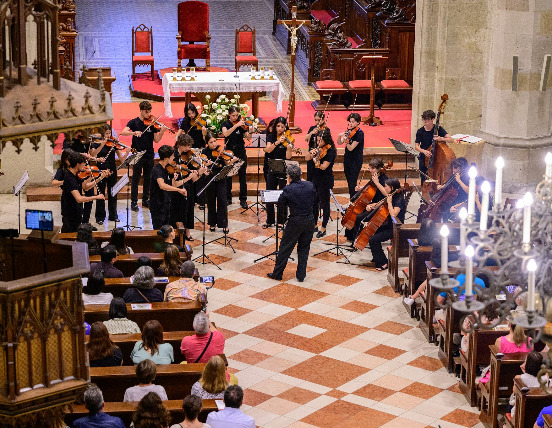 Foto general de la orquesta durante la presentación en la Catedral de San Martin / Bratislava Music Agency